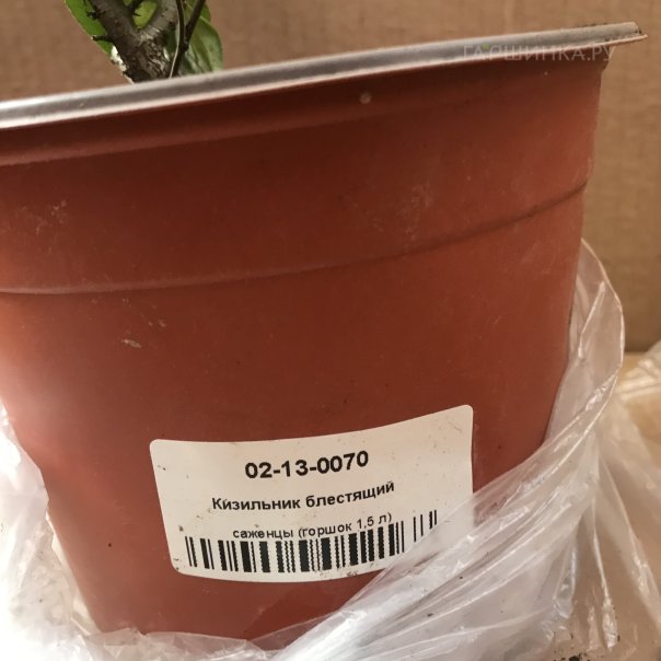 превью изображения отзыва