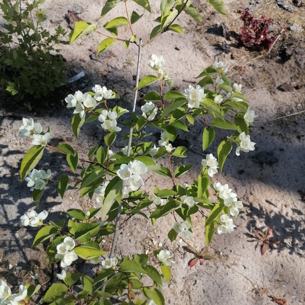 превью изображения отзыва