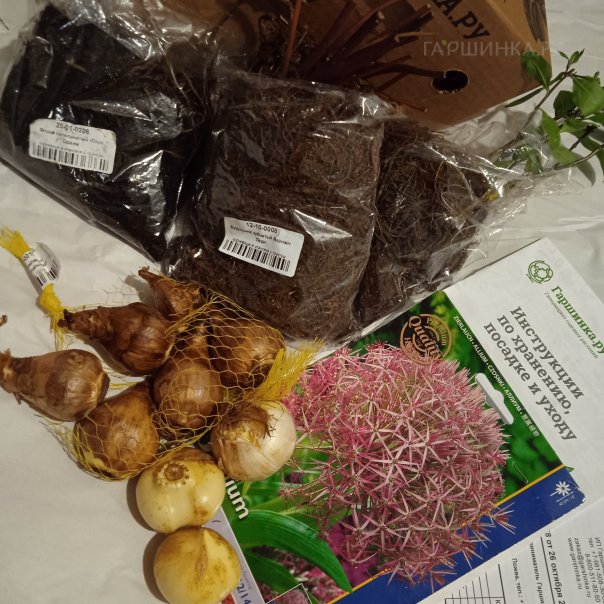 превью изображения отзыва