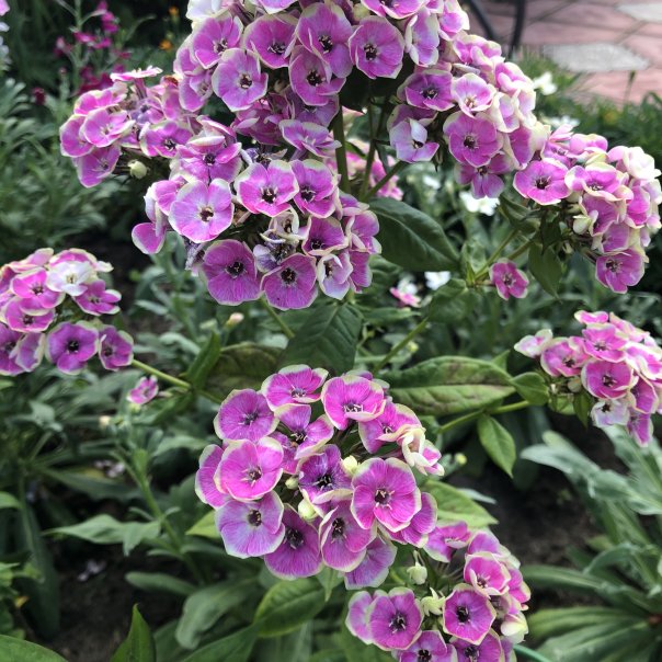 превью изображения отзыва