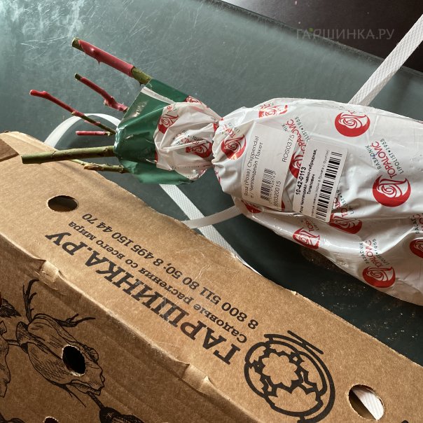 превью изображения отзыва