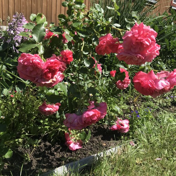 превью изображения отзыва