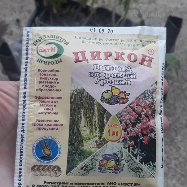 превью изображения отзыва