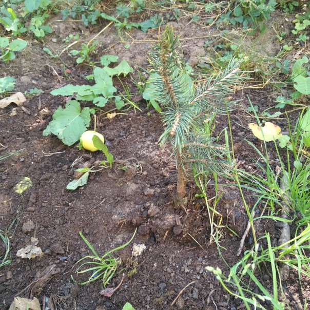 превью изображения отзыва