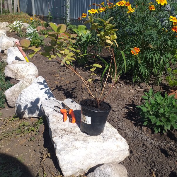 превью изображения отзыва