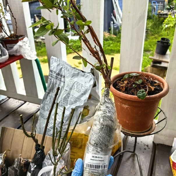 превью изображения отзыва