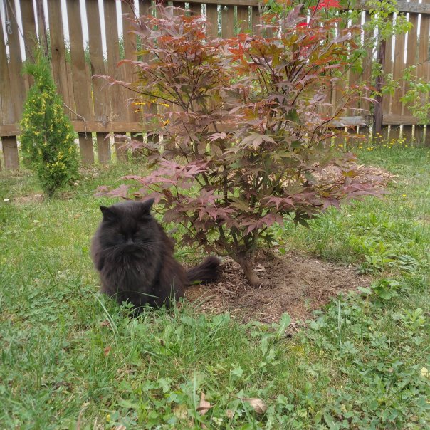 превью изображения отзыва