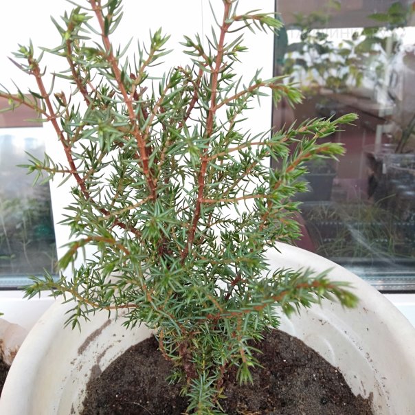 превью изображения отзыва