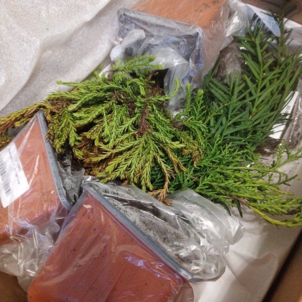 превью изображения отзыва