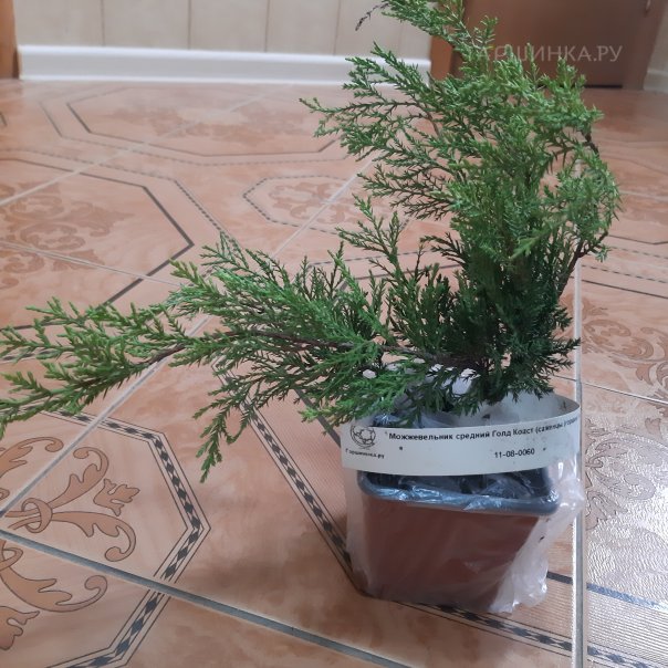 превью изображения отзыва