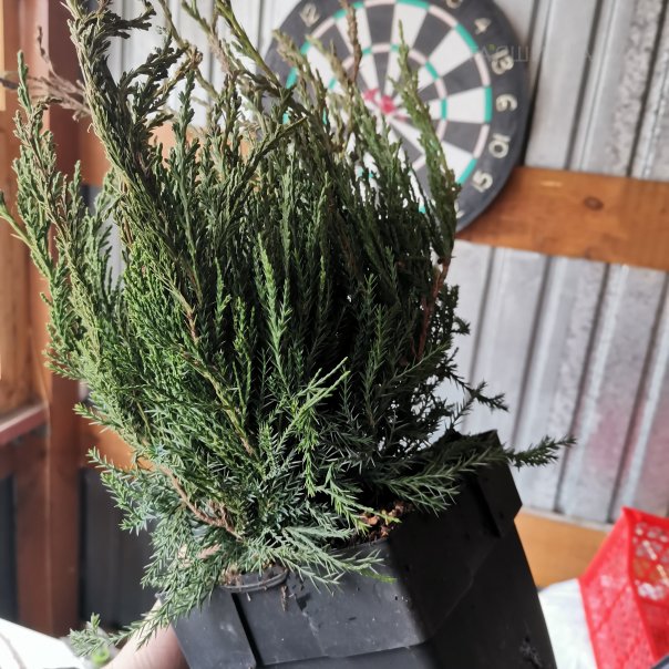 превью изображения отзыва