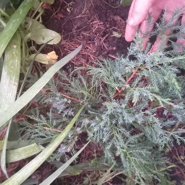 превью изображения отзыва