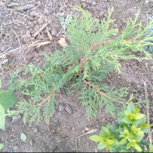 превью изображения отзыва