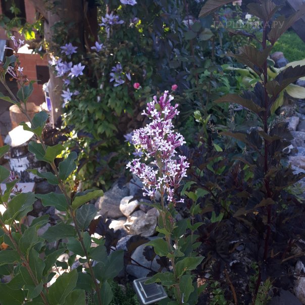 превью изображения отзыва