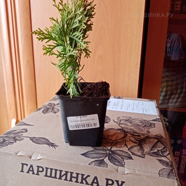 превью изображения отзыва