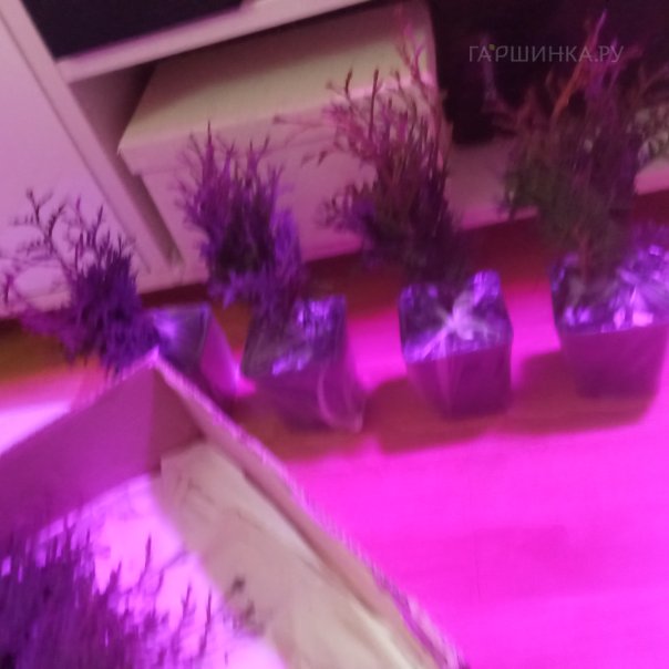 превью изображения отзыва