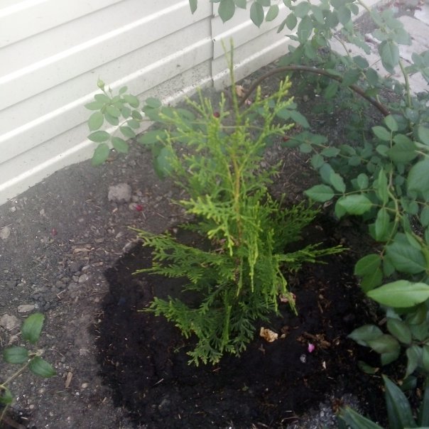 превью изображения отзыва