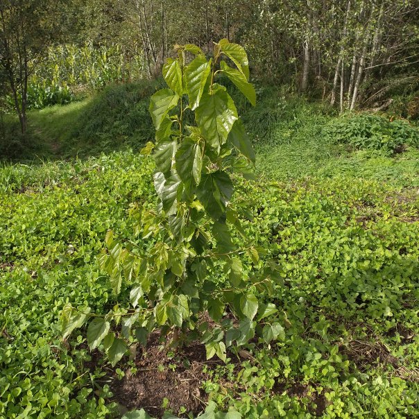 превью изображения отзыва