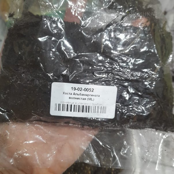 превью изображения отзыва