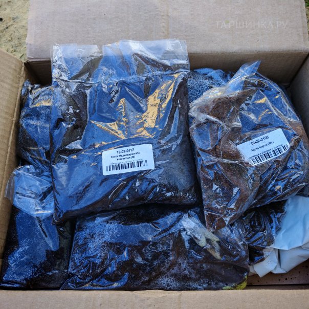 превью изображения отзыва