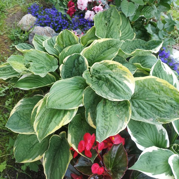 превью изображения отзыва