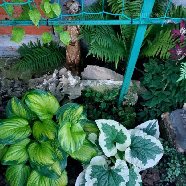 превью изображения отзыва