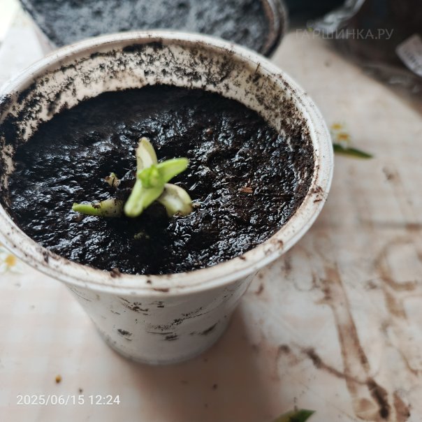 превью изображения отзыва