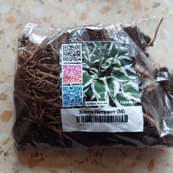 превью изображения отзыва