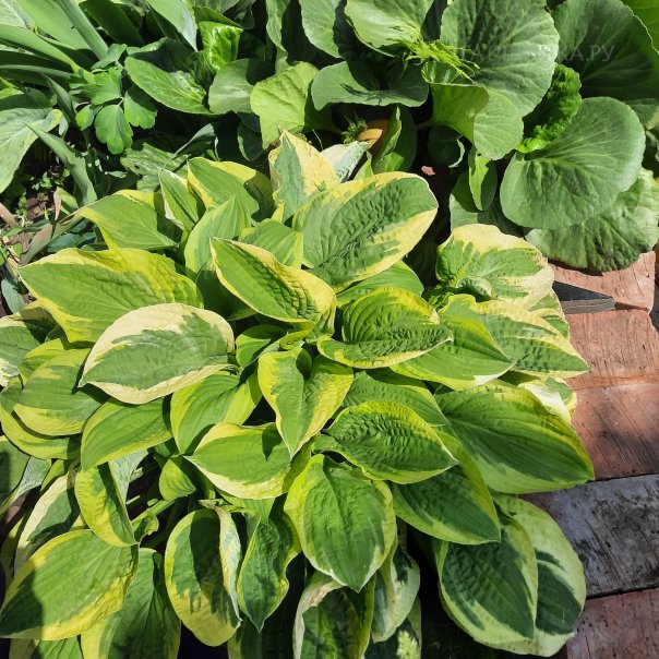 превью изображения отзыва