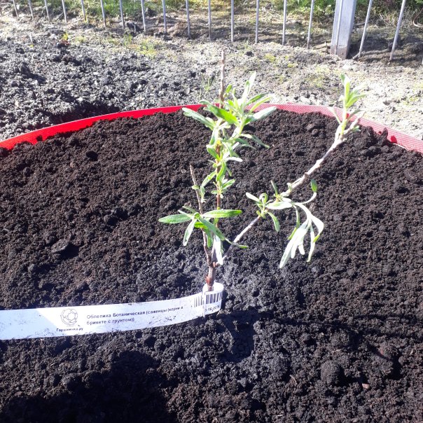 превью изображения отзыва