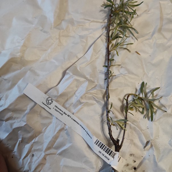 превью изображения отзыва