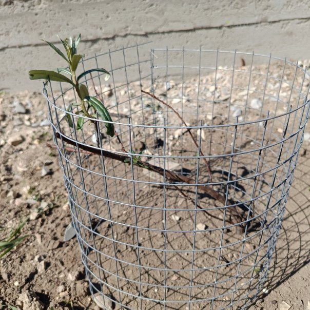 превью изображения отзыва