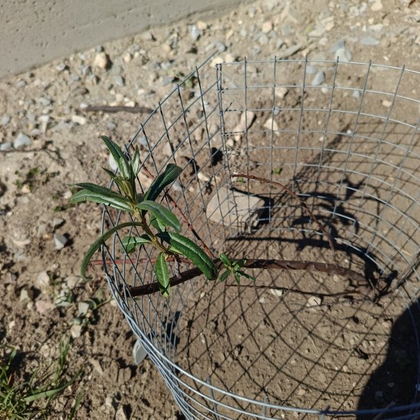 превью изображения отзыва