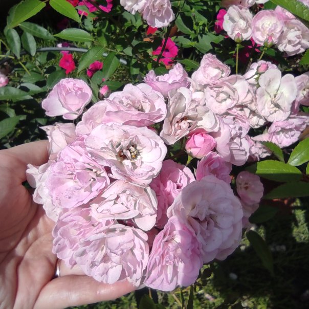 превью изображения отзыва