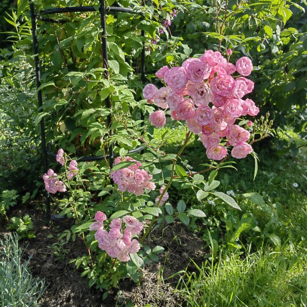 превью изображения отзыва