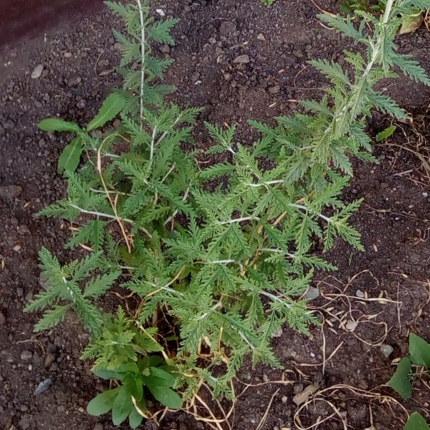 превью изображения отзыва