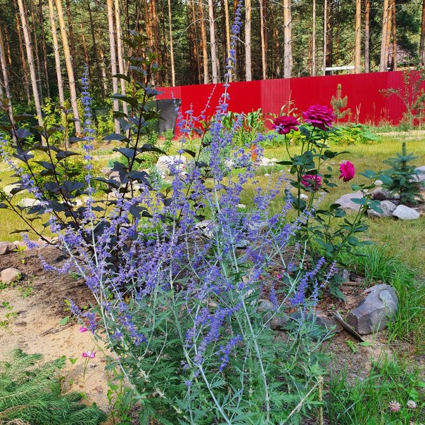 превью изображения отзыва