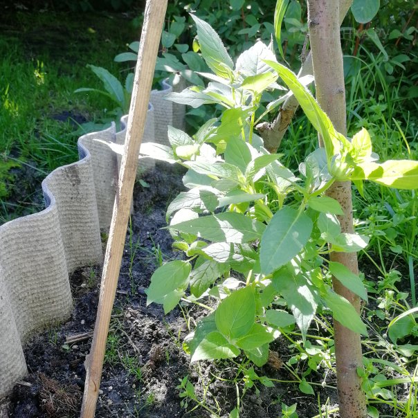 превью изображения отзыва