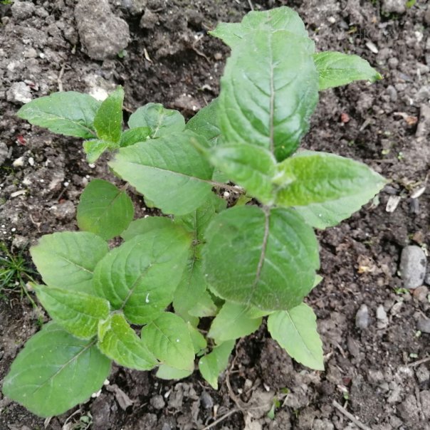 превью изображения отзыва