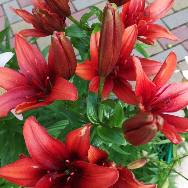 превью изображения отзыва