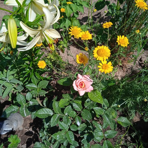 превью изображения отзыва