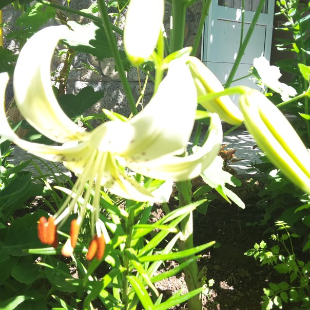 превью изображения отзыва