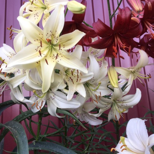 превью изображения отзыва