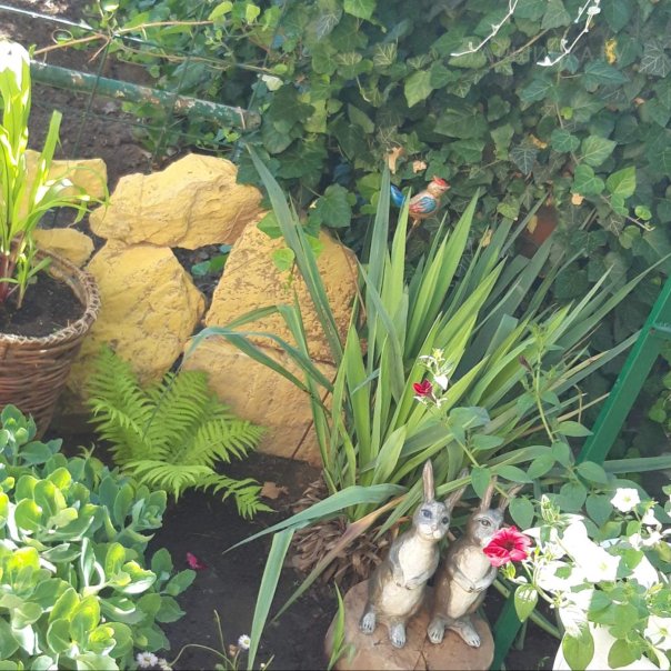 превью изображения отзыва