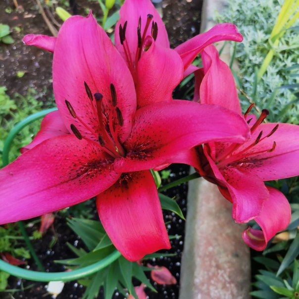 превью изображения отзыва