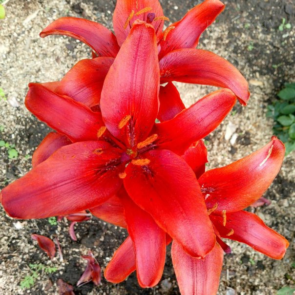 превью изображения отзыва