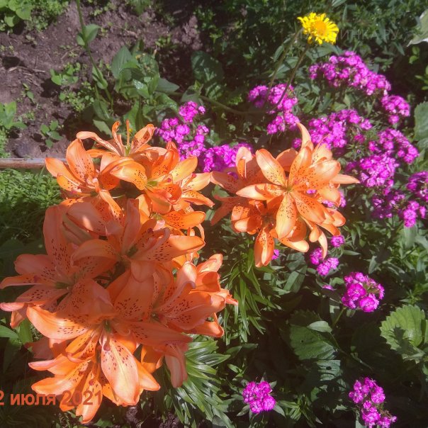 превью изображения отзыва