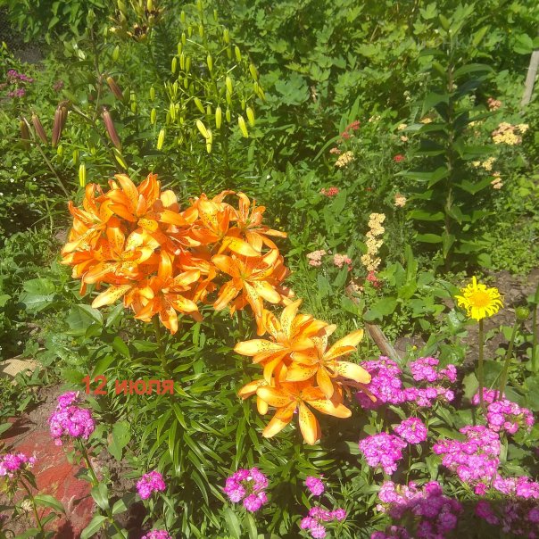 превью изображения отзыва