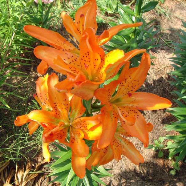 превью изображения отзыва