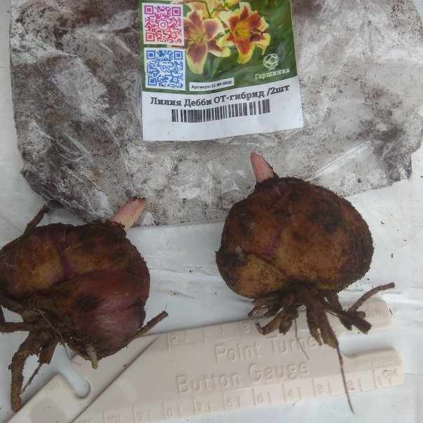 превью изображения отзыва